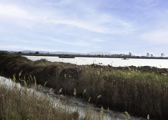 Appartamento Port De La Gavine-33 By Interhome Hyères